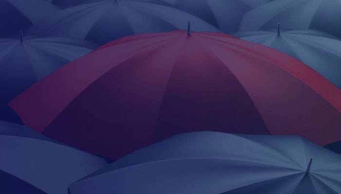 File my Tax, Locum Accountants, Payroll Ireland, Accountant Ireland, Company Accounts